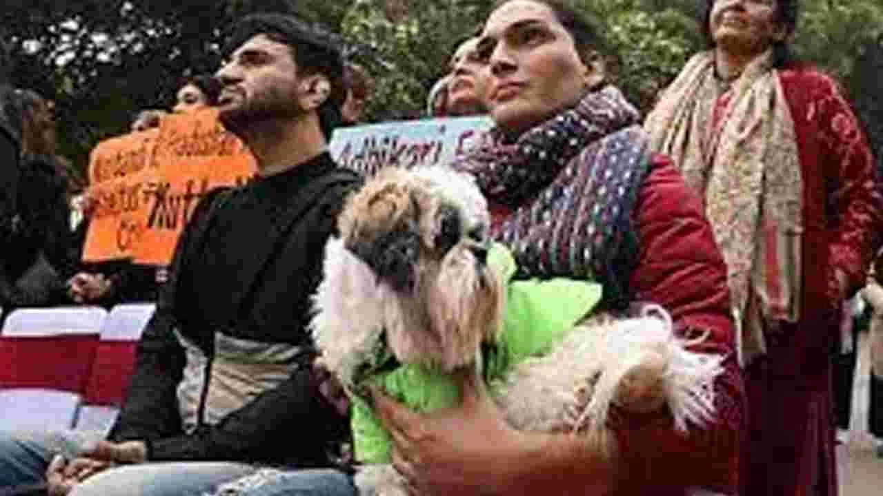 Bihar Teachers Assigned Responsibility to Count Stray Dogs: బిహార్‌లో టీచర్లకు వీధికుక్కల లెక్కింపు బాధ్యతలు