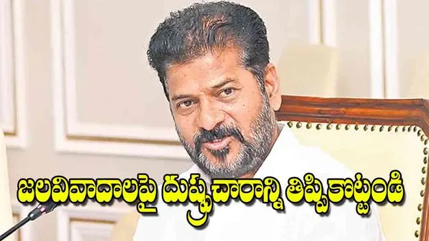 CM Revanth Reddy: జలవివాదాలపై దుష్ప్రచారాన్ని తిప్పికొట్టండి