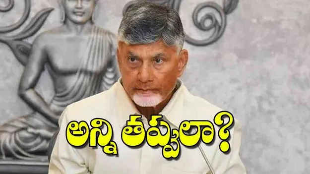 CM Chandrababu: అన్ని తప్పులా?