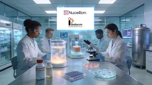 న్యూసిలియాన్‌తో పాండోరమ్‌ జట్టు