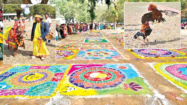 happy pungal ఊరు వాడా సంర‘కాంతులు’
