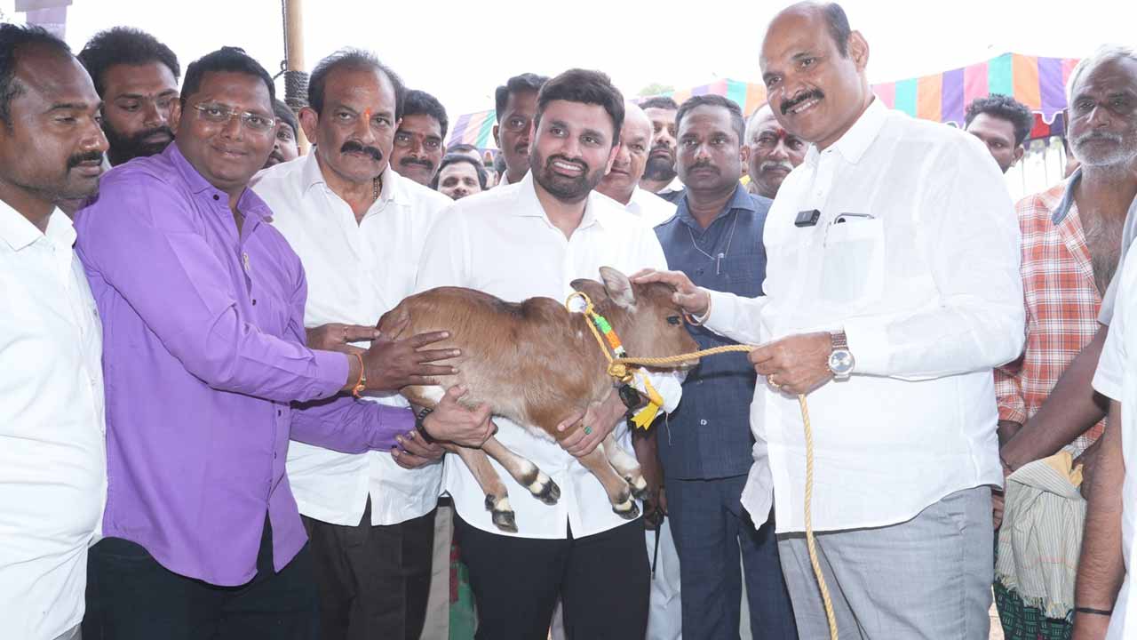 ఆకట్టుకున్న పశువుల అందాల పోటీలు