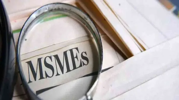 PHDCCI Budget Suggestions: ఎంఎస్ఎంఈలకు రుణాలు పెంచాలి..