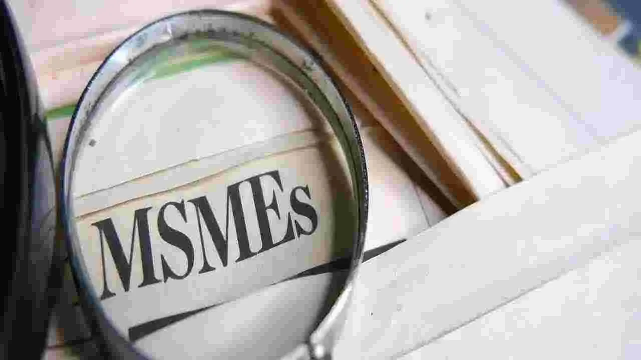 PHDCCI Budget Suggestions: ఎంఎస్ఎంఈలకు రుణాలు పెంచాలి..