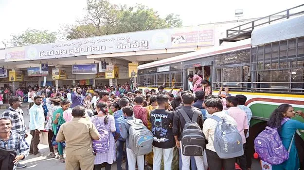 సంక్రాంతి సందడి