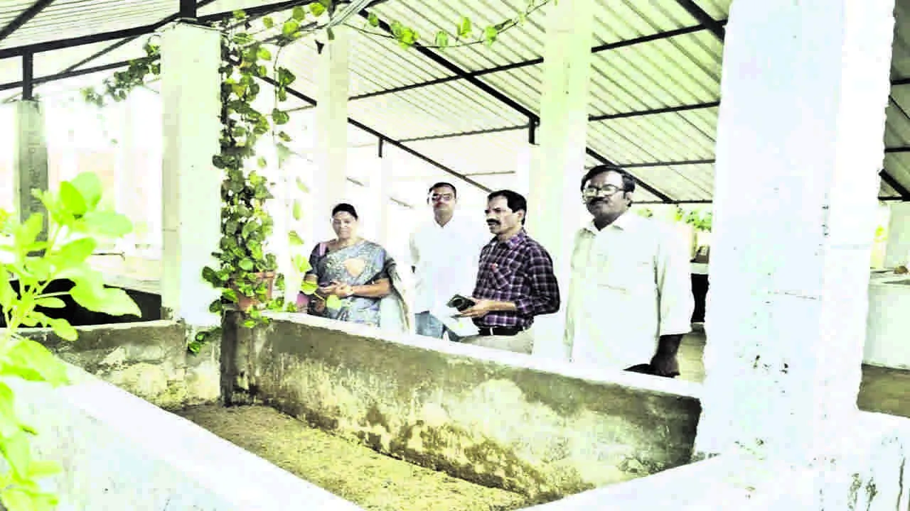 DLDO: చెత్త నుంచి ఆదాయం ఎక్కడ? : డీఎల్‌డీఓ