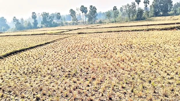 ‘రెవెన్యూ’తో కూటమి నేత కుమ్మక్కు