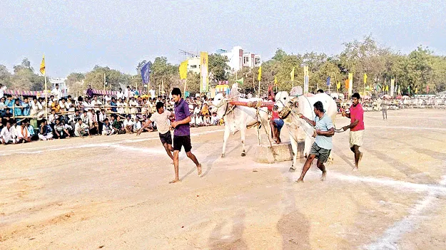 హోరాహోరీగా బండలాగుడు పోటీలు