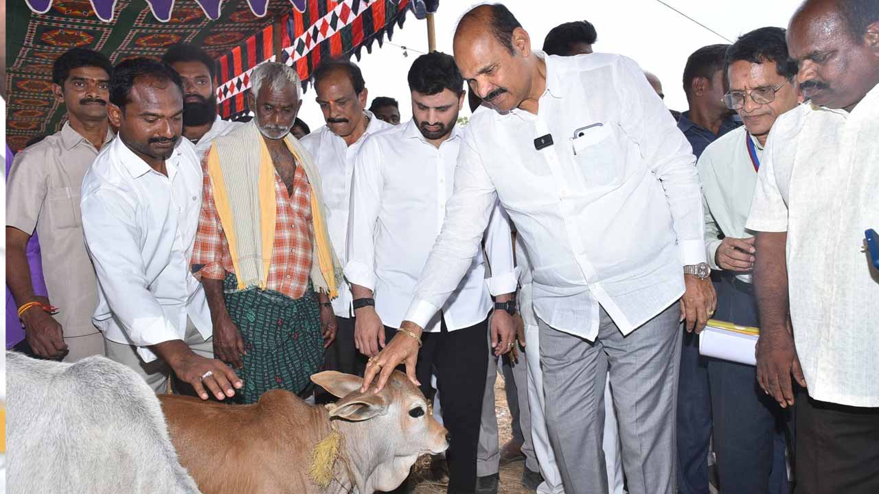 ఆకట్టుకున్న పశువుల అందాల పోటీలు