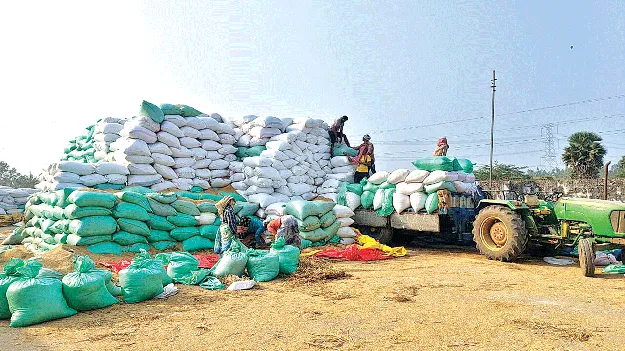 Sankanti nature in farmer family అన్నదాత మోములో సంర‘కాంతి’