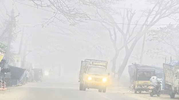 మన్యం గజగజ