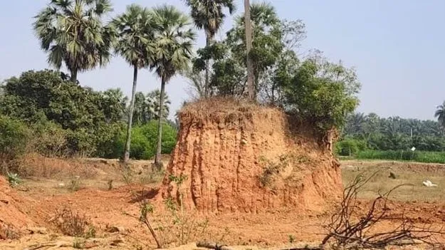 కాలువ గట్టు.. కనిపిస్తే ఒట్టు !