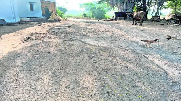 ROAD: తోవ కష్టాలు..!