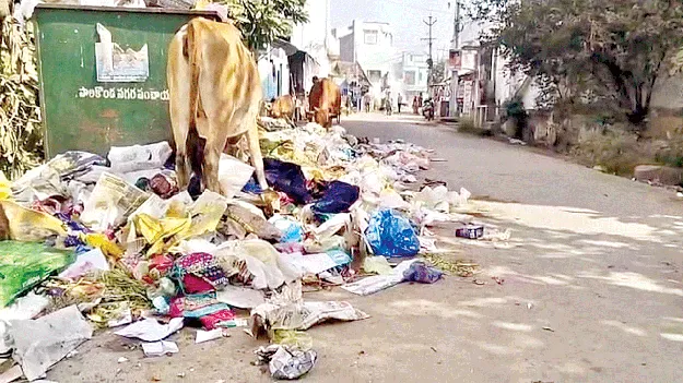 అధ్వానంగా పారిశుధ్యం