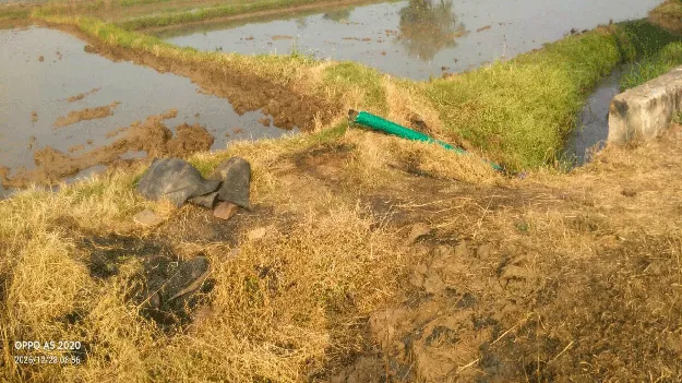  బాబోయ్‌..దొంగలు