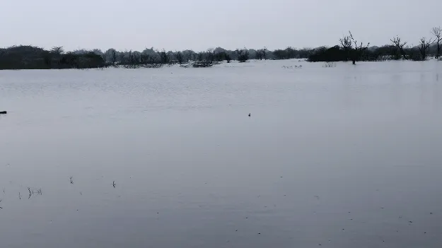 ఆనంద జలతాండవం