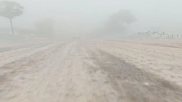 చలి పంజా!