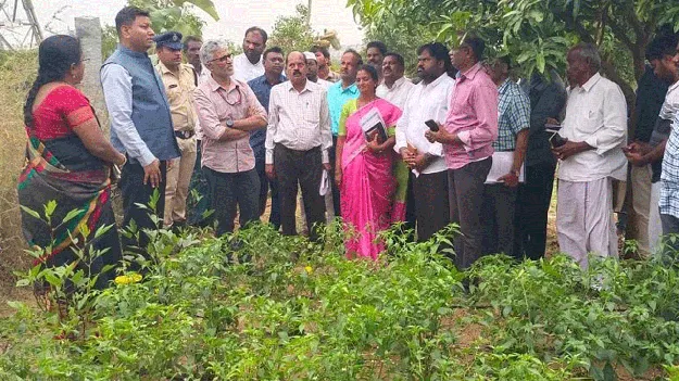 విలువ ఆధారిత ఉత్పత్తుల అభివృద్ధిపై దృష్టి 