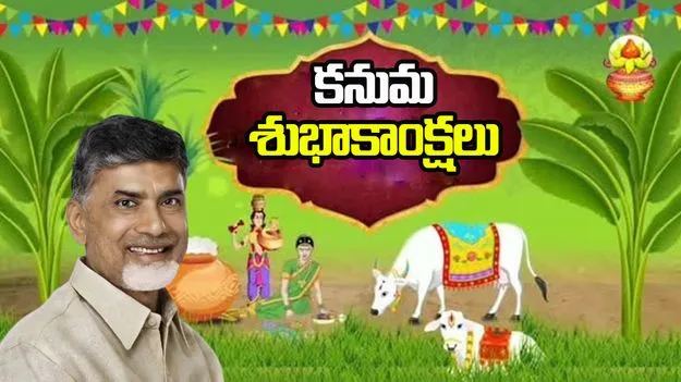 CM Chandrababu Kanuma Greetings: కనుమ శుభాకాంక్షలు తెలిపిన సీఎం చంద్రబాబు