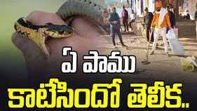 Bihar snake bite: మూడు పాములతో హాస్పిటల్‌కు.. అసలేం జరిగిందో తెలిస్తే షాకవ్వాల్సిందే..