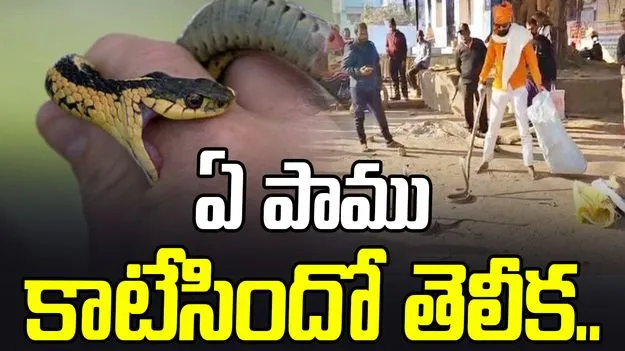 Bihar snake bite: మూడు పాములతో హాస్పిటల్‌కు.. అసలేం జరిగిందో తెలిస్తే షాకవ్వాల్సిందే..