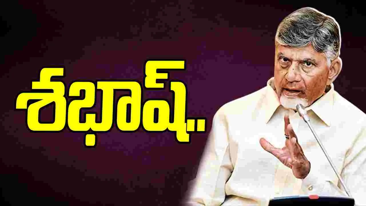 Chandrababu Naidu: విశాఖ బ్రాండ్ ఇమేజ్ దెబ్బతీస్తే సహించేది లేదు: సీఎం వార్నింగ్