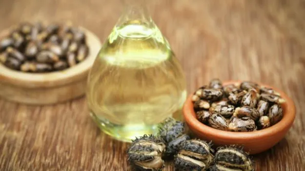 Castor Oil Health Benefits: ఆముదం ఆరోగ్యానికి ఎంతవరకు మేలు చేస్తుంది?