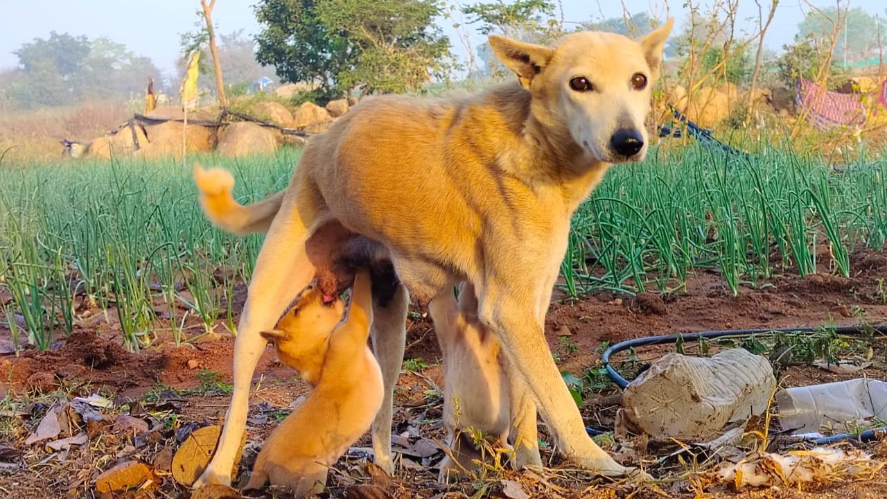 ఒక్క చూపుతోనే మైమరిపించే ఆసక్తికర చిత్రాలు