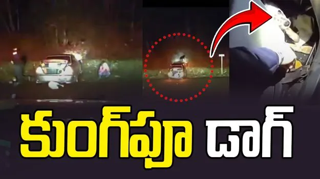 High Speed Police Chase: కుంగ్‌ఫూ డాగ్.. కారు లోపలి నుంచి గాల్లోకి ఎగిరి..