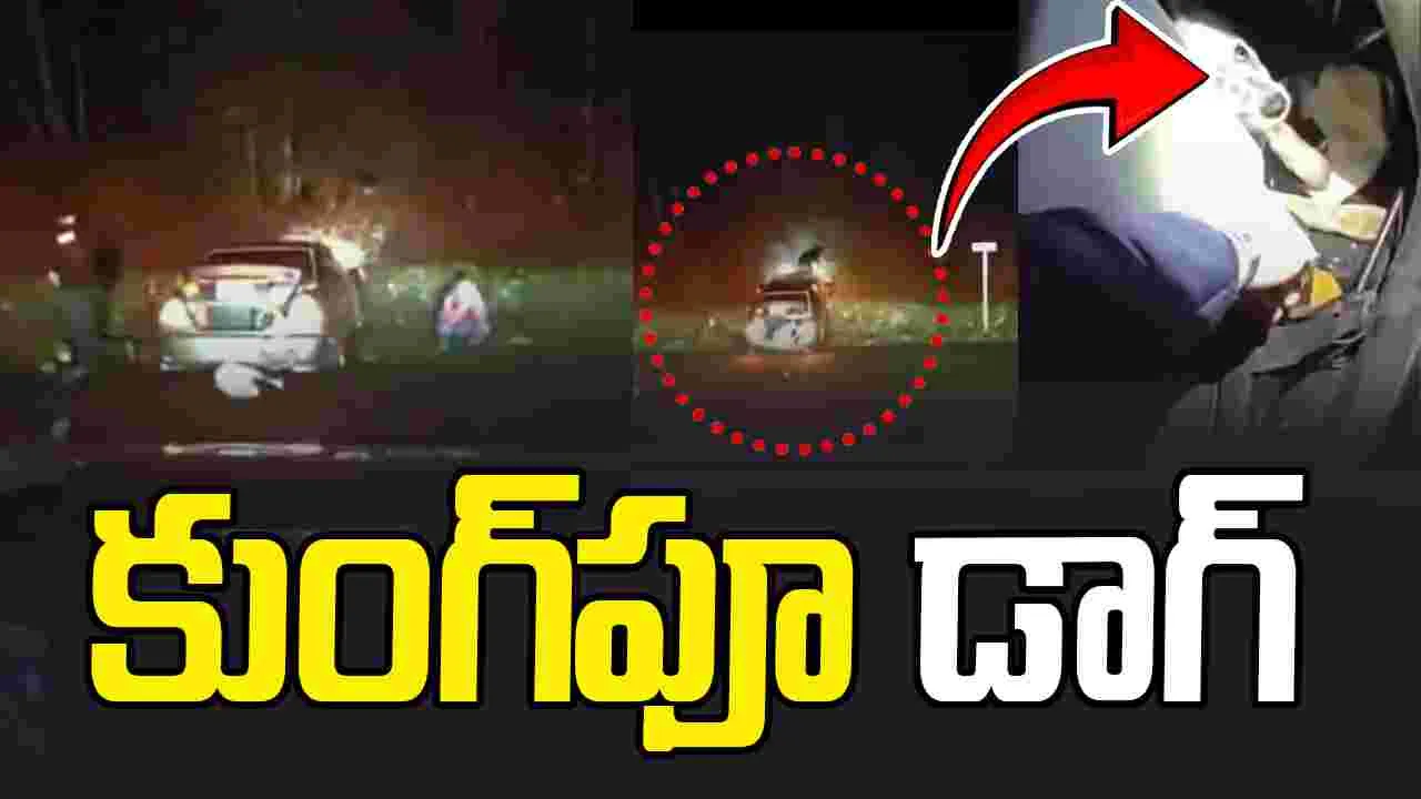 High Speed Police Chase: కుంగ్‌ఫూ డాగ్.. కారు లోపలి నుంచి గాల్లోకి ఎగిరి..