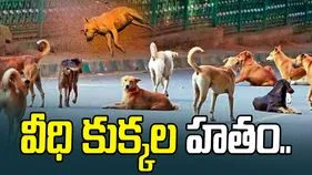 Dogs Tragic incident : హనుమకొండ జిల్లాలో దారుణం.. భారీగా వీధి కుక్కల హతం