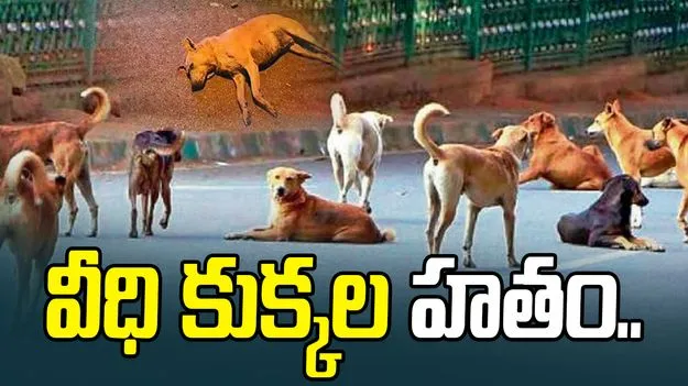 Dogs Tragic incident : హనుమకొండ జిల్లాలో దారుణం.. భారీగా వీధి కుక్కల హతం