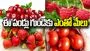 Best Fruits for Heart Health: ఈ పండ్లు తింటే చాలు.. గుండె సమస్యలకు చెక్ పెట్టొచ్చు..