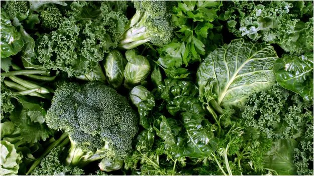 Benefits of Leafy Greens: ఈ 5 ఆకు కూరల ప్రయోజనాలు తెలిస్తే ఆశ్చర్యపోతారు
