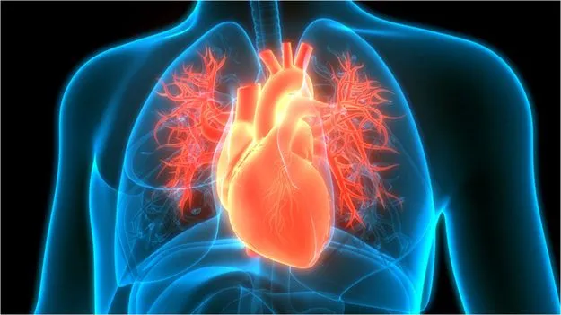 Heart Health in Winter: చలికాలం.. గుండెకు ముప్పు తెచ్చే ఆహారాలు ఇవే!