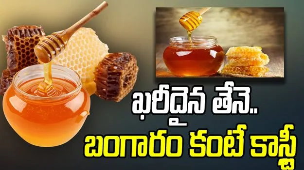 Elvish Honey: ఈ తేనె బంగారం కన్నా విలువైనది.. ఎందుకంటే?