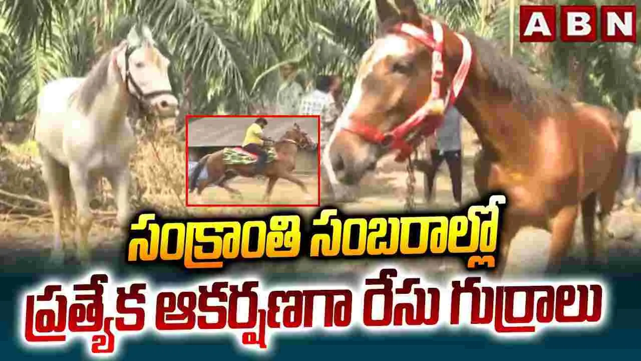 సంక్రాంతి వేడుకల్లో గుర్రపు స్వారీలు..