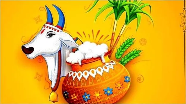 Kanuma Festival Traditions: కనుమ స్పెషల్.. పాటించాల్సిన సంప్రదాయాలు ఇవే