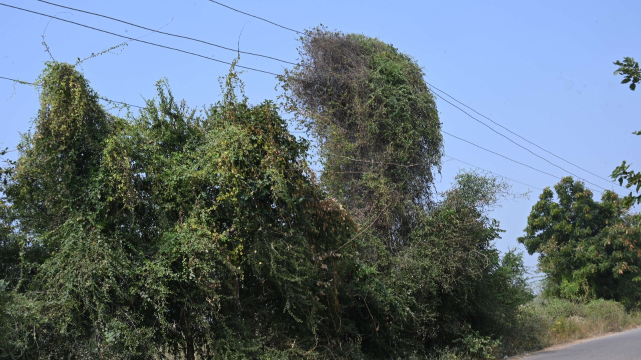 ఒక్క చూపుతోనే మైమరిపించే ఆసక్తికర చిత్రాలు