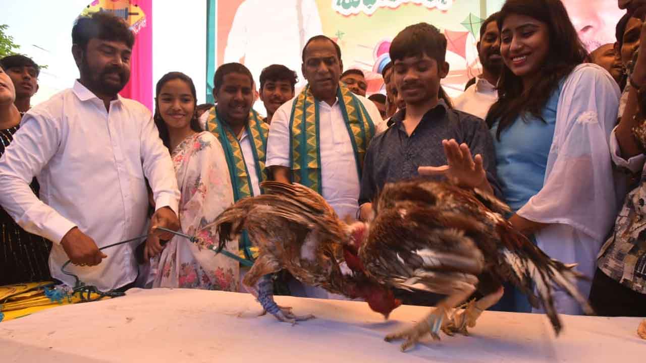 బోయినపల్లిలో సంక్రాంతి సంబరాల్లో పాల్గొన్న మాజీ మంత్రి మల్లారెడ్డి