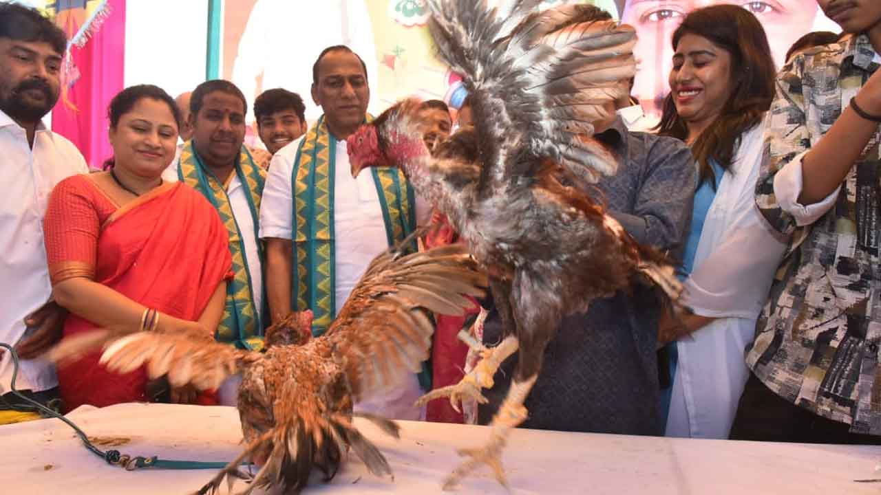 బోయినపల్లిలో సంక్రాంతి సంబరాల్లో పాల్గొన్న మాజీ మంత్రి మల్లారెడ్డి