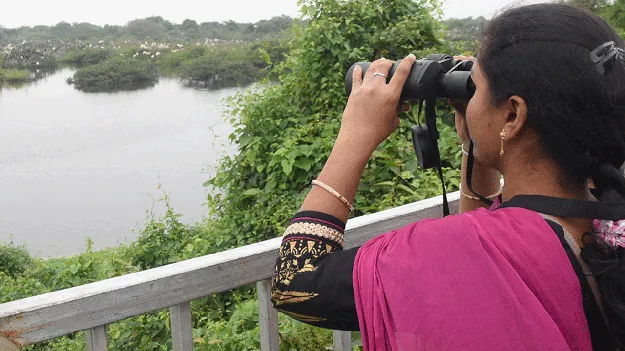 అదిగదిగో ఫ్లెమింగో..!