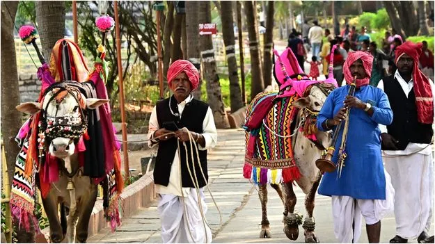 Sankranti Cultural Significance: హరిదాసు, బసవన్న సంప్రదాయాలు సంక్రాంతికే ఎందుకు కనిపిస్తాయి?