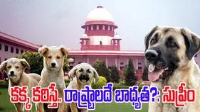 Supreme Court: రాష్ట్రాలకు సుప్రీం సీరియస్ వార్నింగ్.. ఇకపై రాష్ట్రాలదే బాధ్యత!