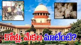 SC on Dog Menace: వీధి కుక్కల అంశంపై విచారణ.. సుప్రీం కోర్టు అసహనం.. కోళ్లు, మేకల ప్రాణాల మాటేంటని ప్రశ్న