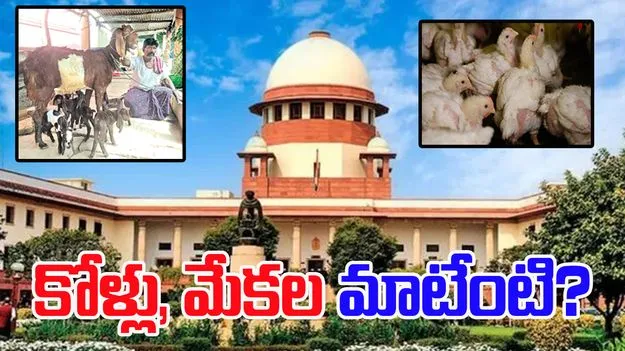 SC on Dog Menace: వీధి కుక్కల అంశంపై విచారణ.. సుప్రీం కోర్టు అసహనం.. కోళ్లు, మేకల ప్రాణాల మాటేంటని ప్రశ్న