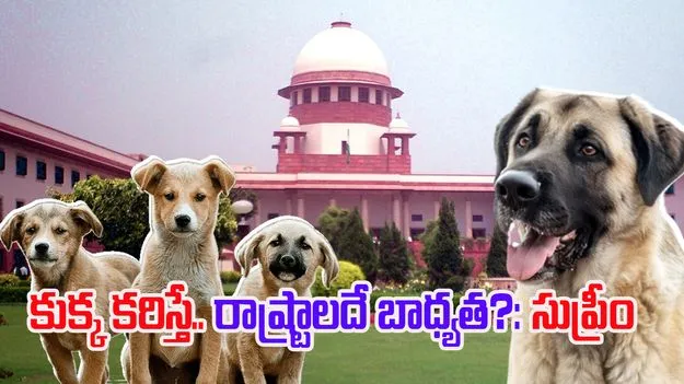 Supreme Court: రాష్ట్రాలకు సుప్రీం సీరియస్ వార్నింగ్.. ఇకపై రాష్ట్రాలదే బాధ్యత!