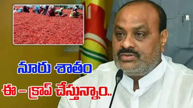 Guntur Chili Season Issues: నూటికి నూరు శాతం.. ఈ-క్రాప్ చేస్తున్నాం: మంత్రి అచ్చెన్నాయుడు