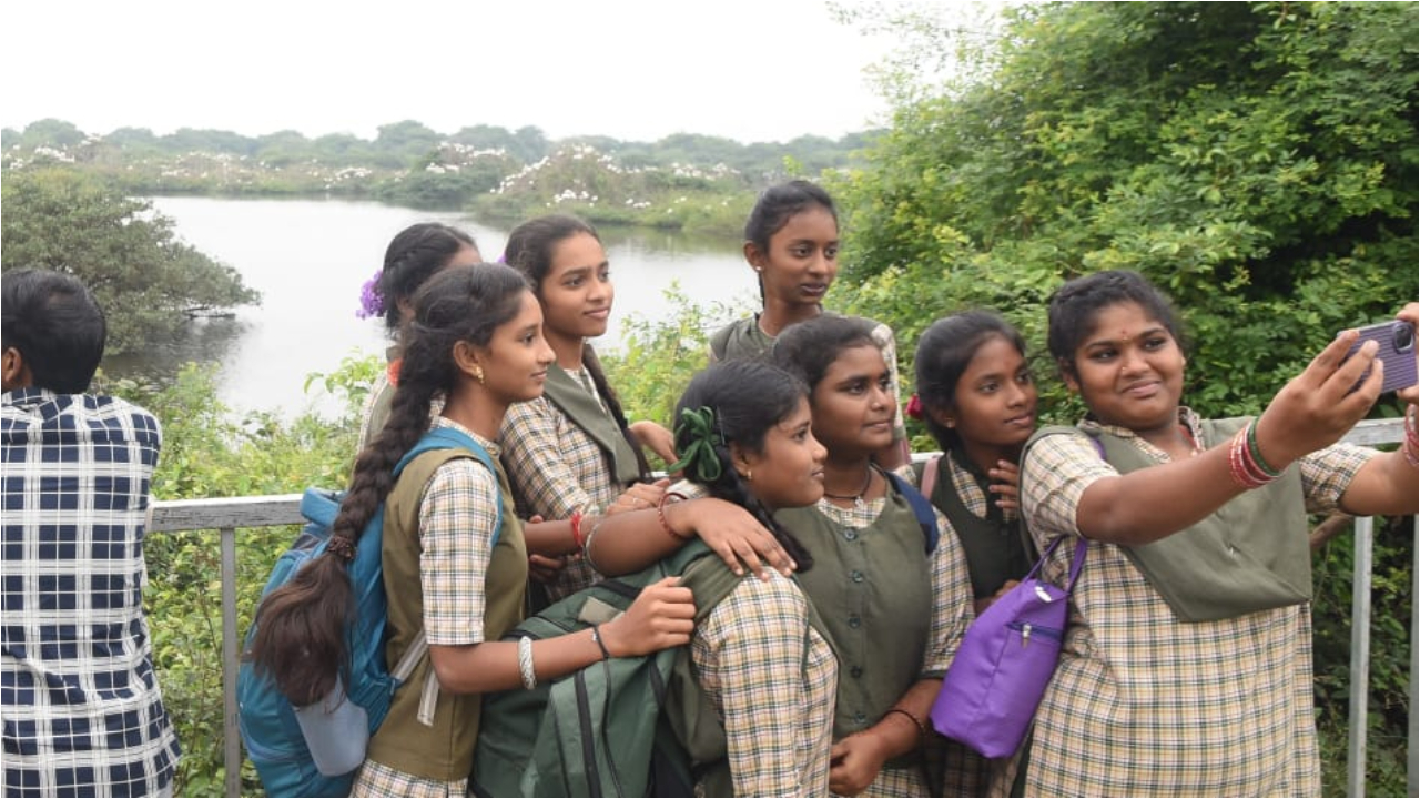 ప్రకృతి మధ్య పక్షుల సందడి