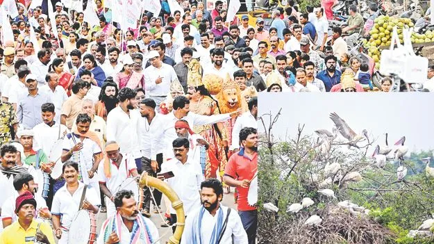 Sullurupeta: పక్షుల పండుగ పిలుస్తోంది!